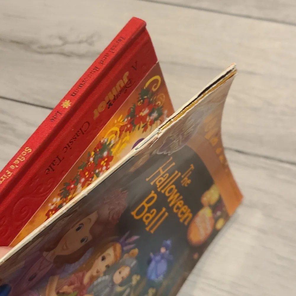 🐣 Sophia the First holiday book bundle 🧋 💫 🎠 🌸 🍀 ✨️☃️🦋🍍🐠🍬🍿🍕🐬